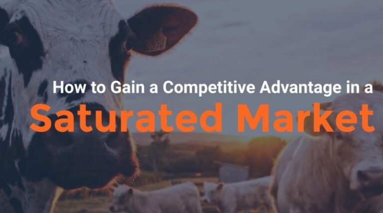 How to Develop a Competitive Edge in a Saturated Market